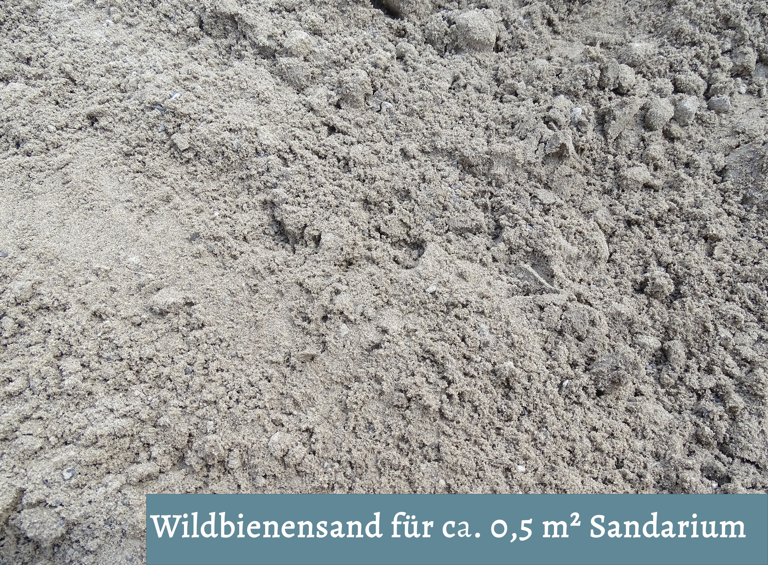 Wildbienensand für Sandarium 0,5 m²
